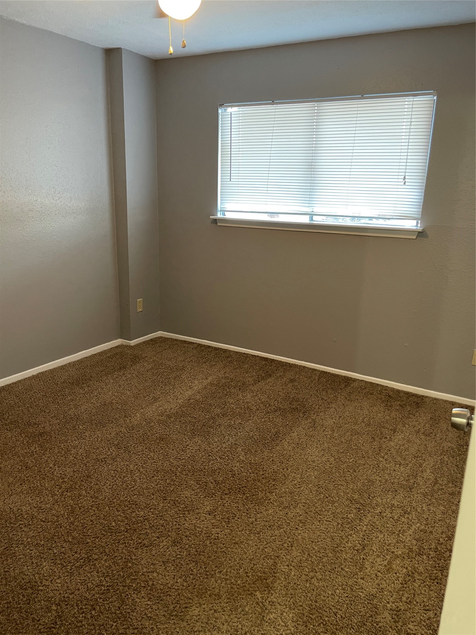 7273 Chasewood Drive Property Photo 12