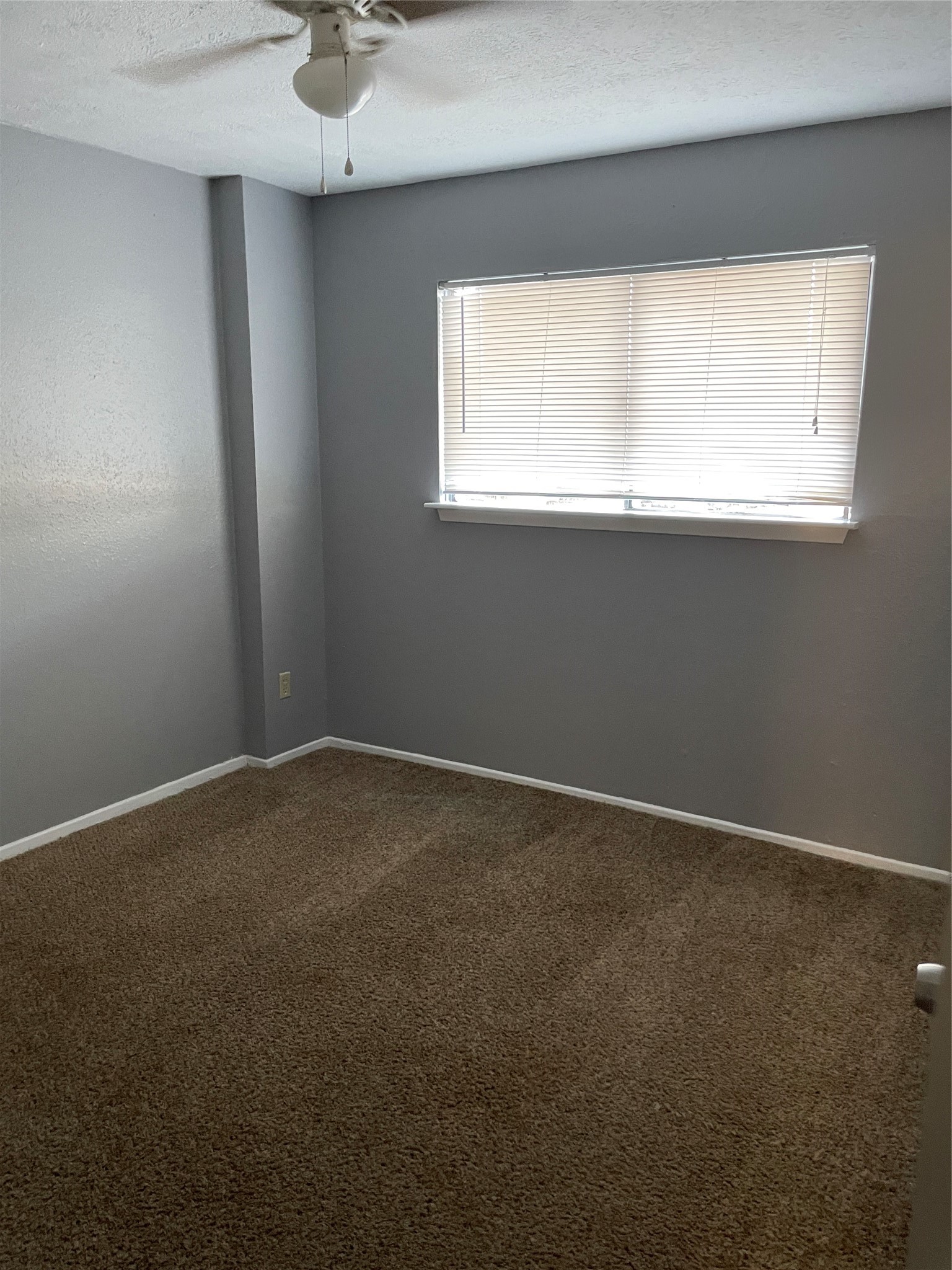7273 Chasewood Drive Property Photo 14