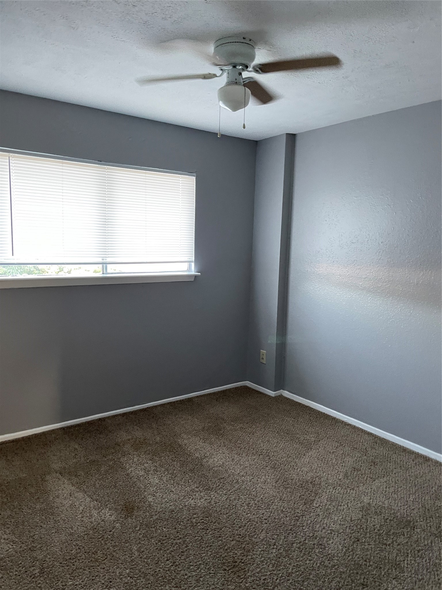 7273 Chasewood Drive Property Photo 16