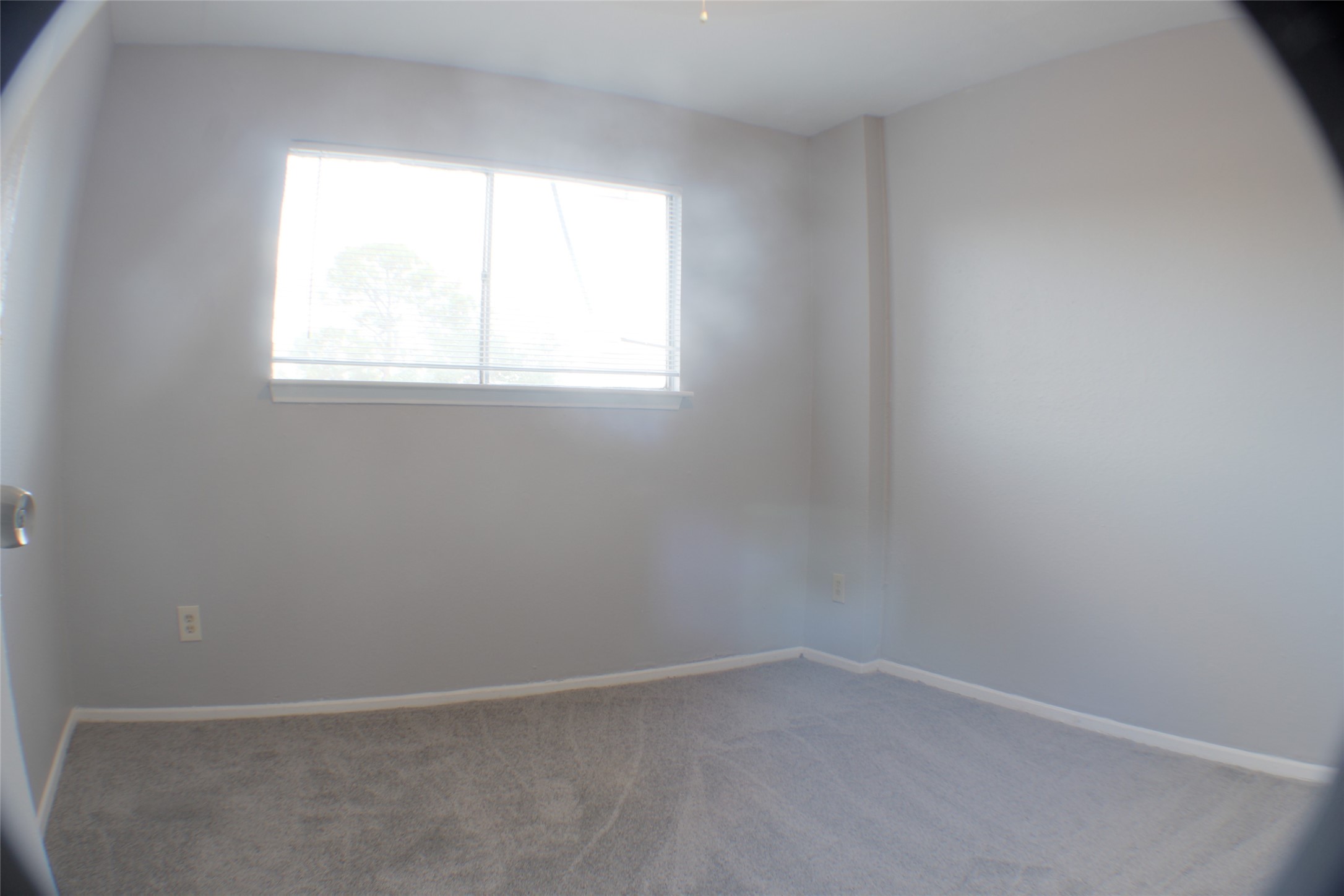 7273 Chasewood Drive Property Photo 27
