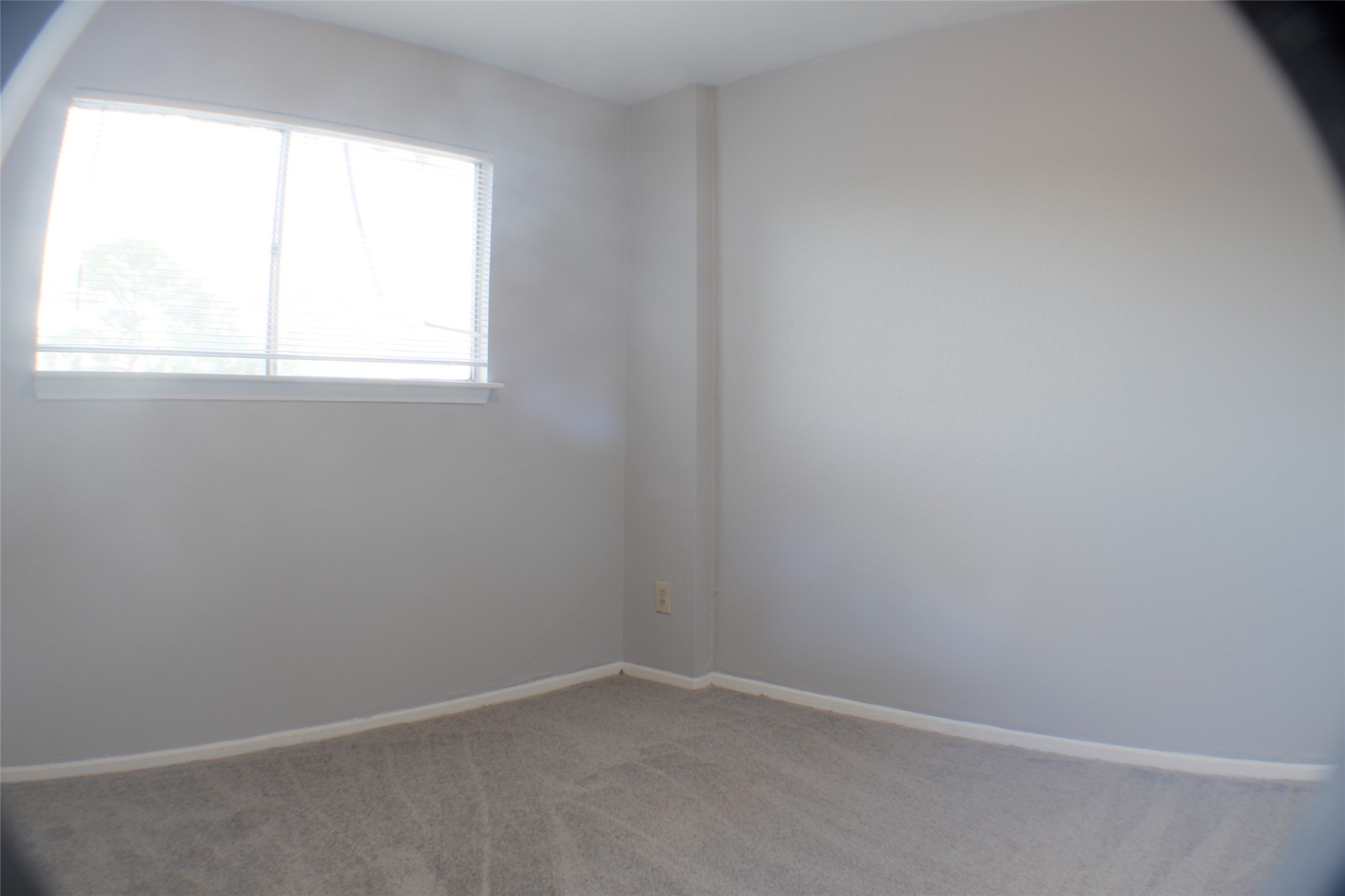 7273 Chasewood Drive Property Photo 28