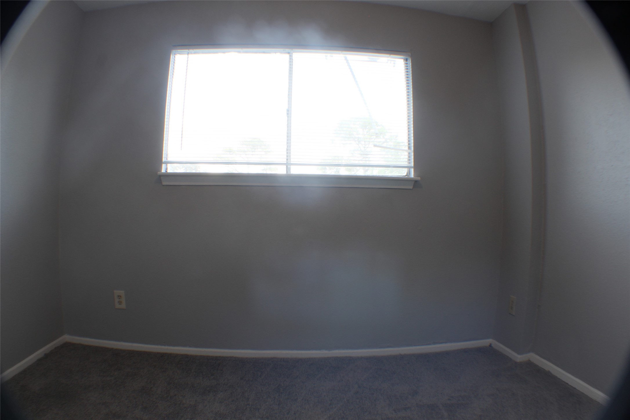 7273 Chasewood Drive Property Photo 31