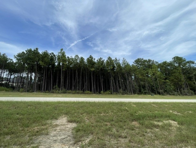 15963 Forest Grove Drive Property Photo 2