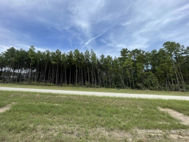15963 Forest Grove Drive Property Photo 3
