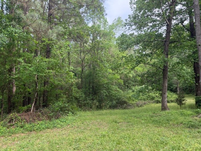 Lot 34 Gov Latham Circle Property Photo 4