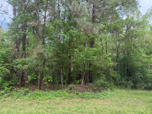 Lot 34 Gov Latham Circle Property Photo 5