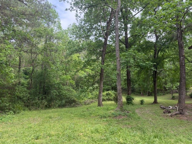 Lot 34 Gov Latham Circle Property Photo 6