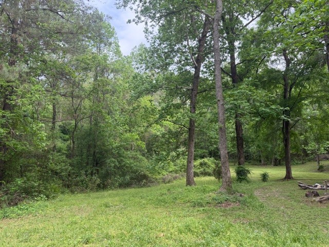 Lot 34 Gov Latham Circle Property Photo 7