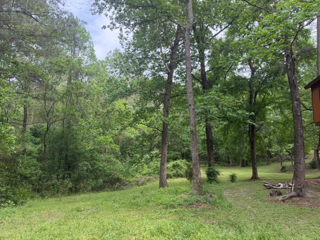 Lot 34 Gov Latham Circle Property Photo 8