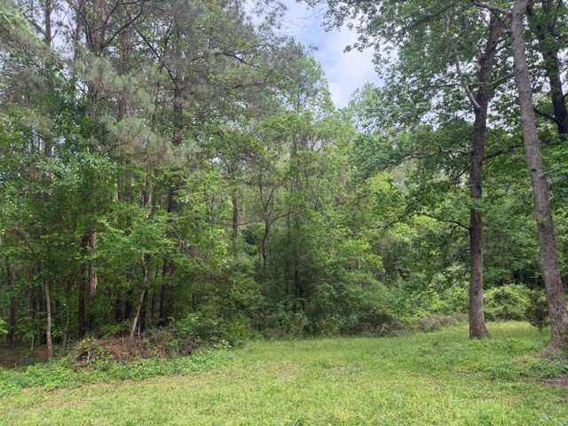 Lot 34 Gov Latham Circle Property Photo 9