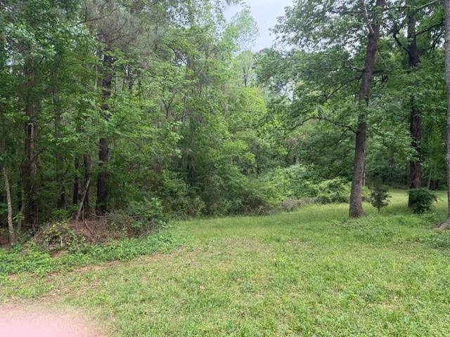 Lot 34 Gov Latham Circle Property Photo 10