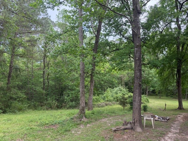 Lot 34 Gov Latham Circle Property Photo 11