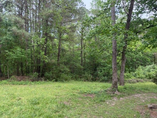 Lot 34 Gov Latham Circle Property Photo 12