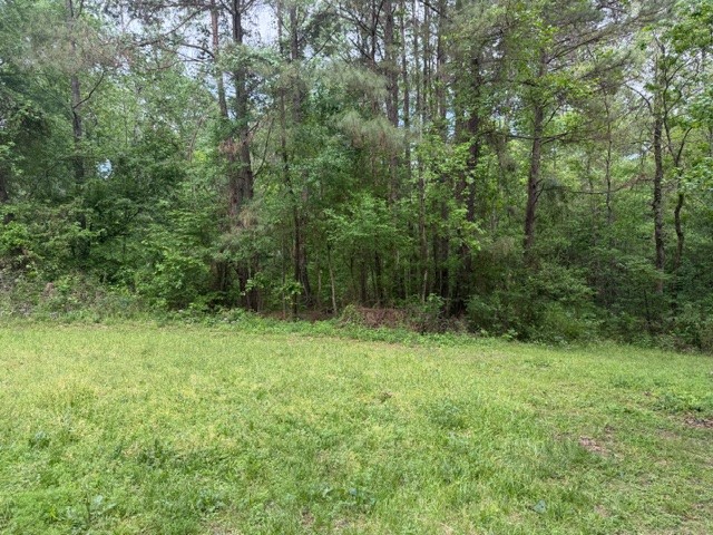 Lot 34 Gov Latham Circle Property Photo 13