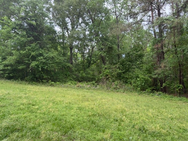 Lot 34 Gov Latham Circle Property Photo 14