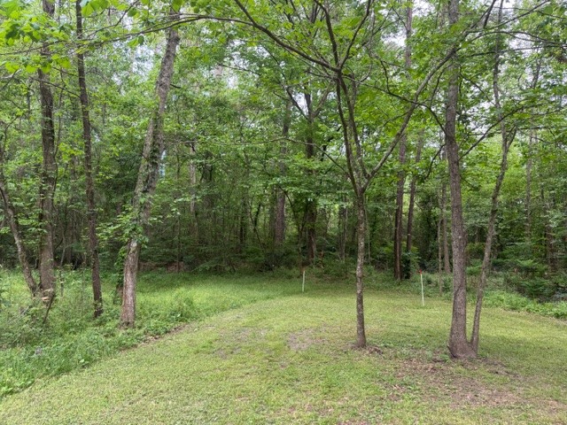 Lot 34 Gov Latham Circle Property Photo 15