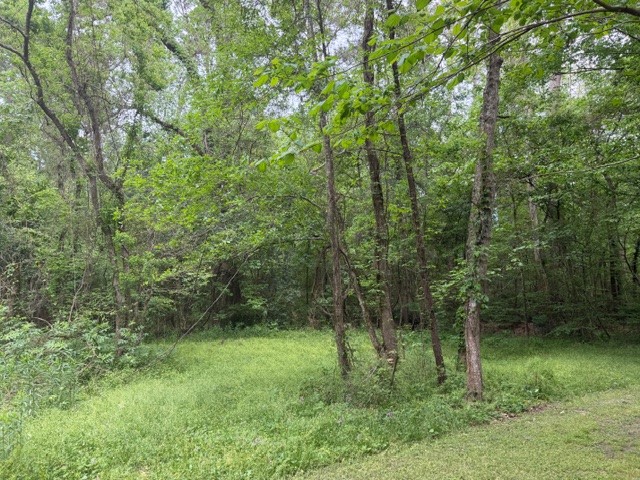 Lot 34 Gov Latham Circle Property Photo 16