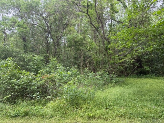 Lot 34 Gov Latham Circle Property Photo 17