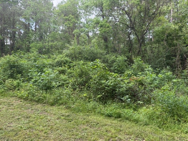 Lot 34 Gov Latham Circle Property Photo 18