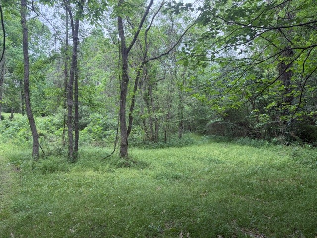 Lot 34 Gov Latham Circle Property Photo 19