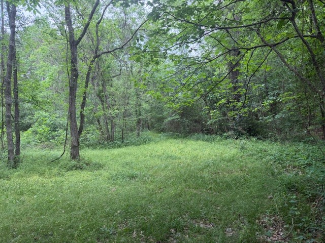 Lot 34 Gov Latham Circle Property Photo 20