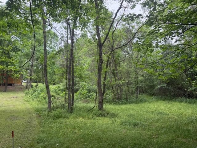 Lot 34 Gov Latham Circle Property Photo 21