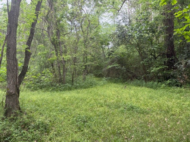 Lot 34 Gov Latham Circle Property Photo 22