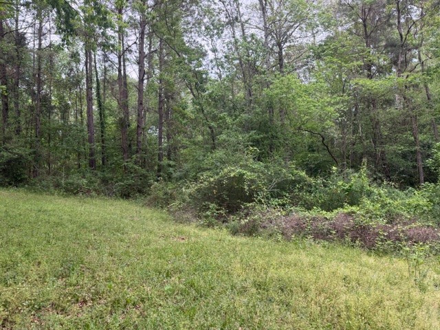 Lot 34 Gov Latham Circle Property Photo 23