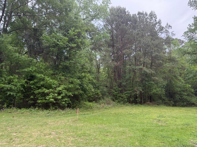 Lot 34 Gov Latham Circle Property Photo 24