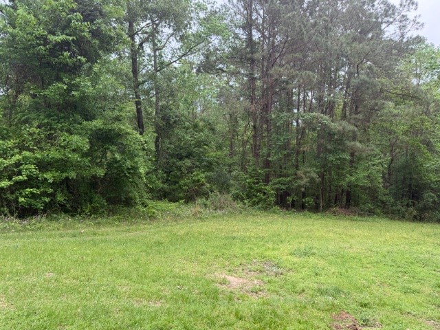 Lot 34 Gov Latham Circle Property Photo 25