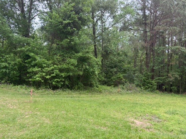 Lot 34 Gov Latham Circle Property Photo 26