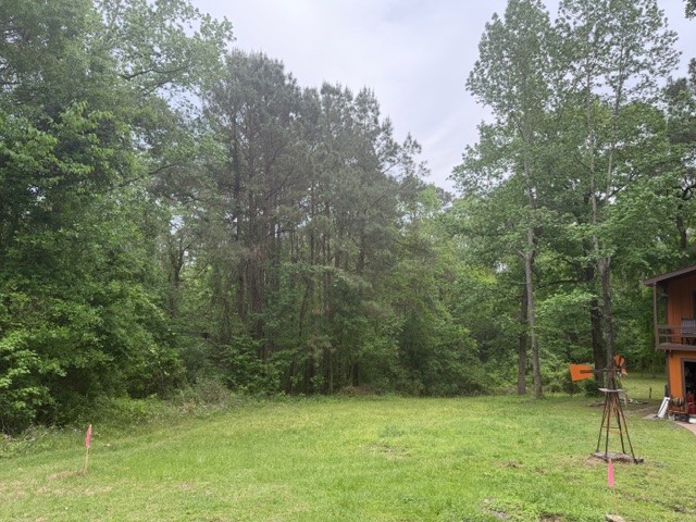 Lot 34 Gov Latham Circle Property Photo 27