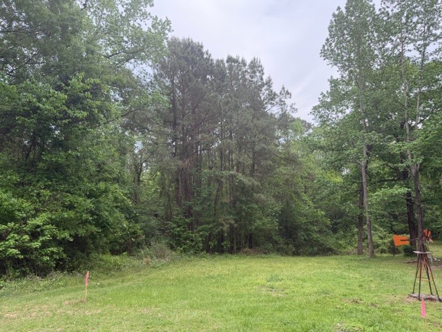 Lot 34 Gov Latham Circle Property Photo 29