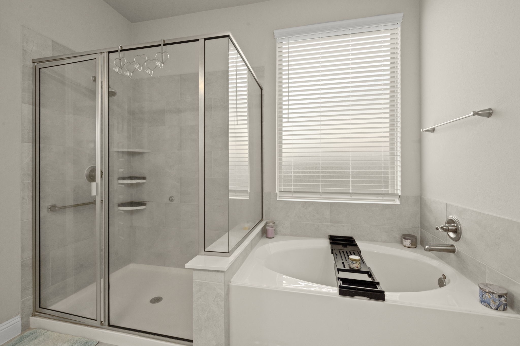 10054 Black Maple Drive Property Photo 20