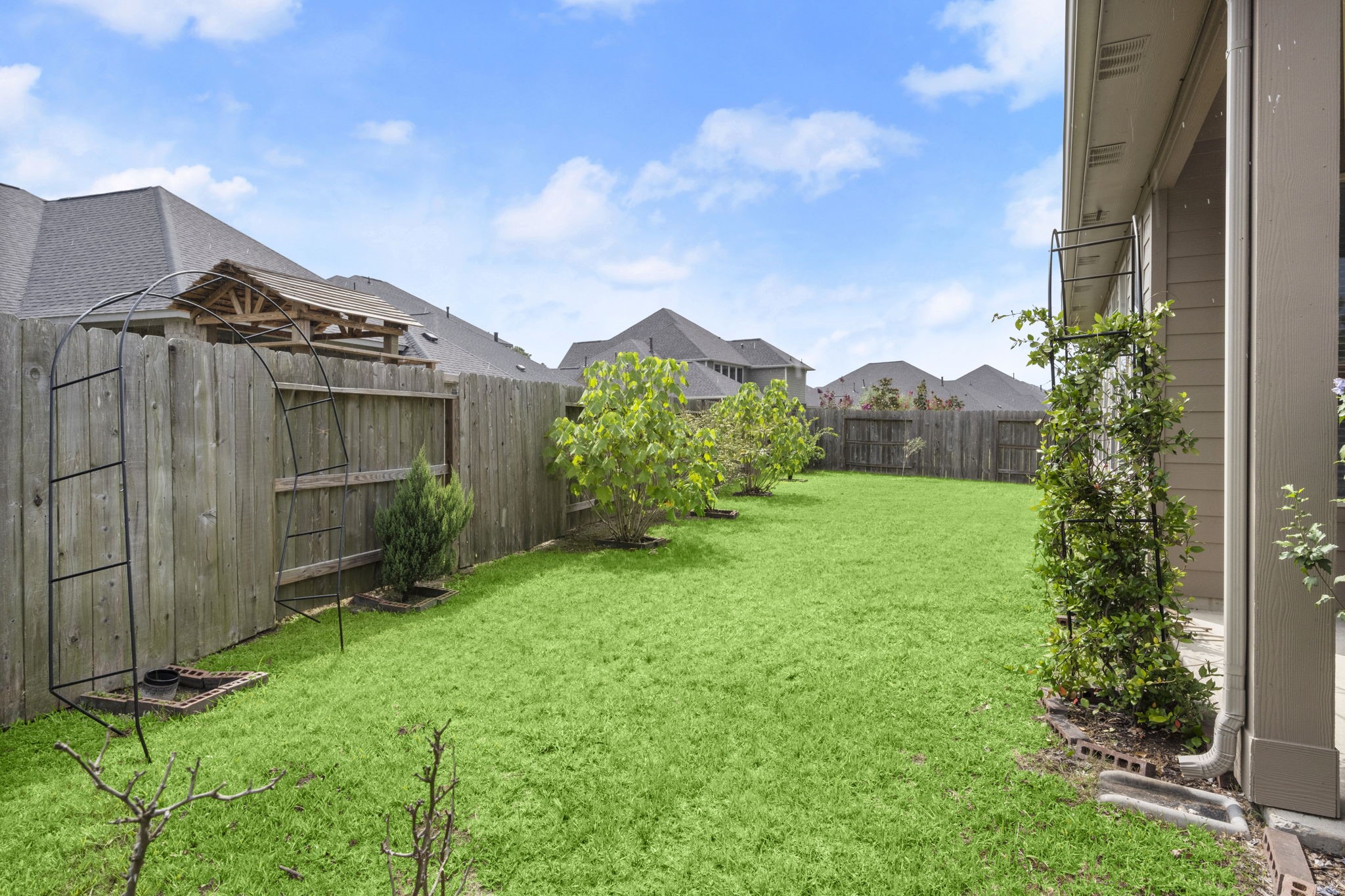 10054 Black Maple Drive Property Photo 30