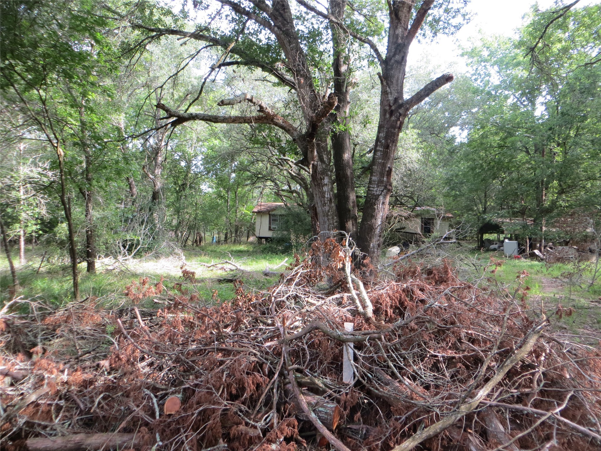 1033 Dr Neal Road Property Photo 1