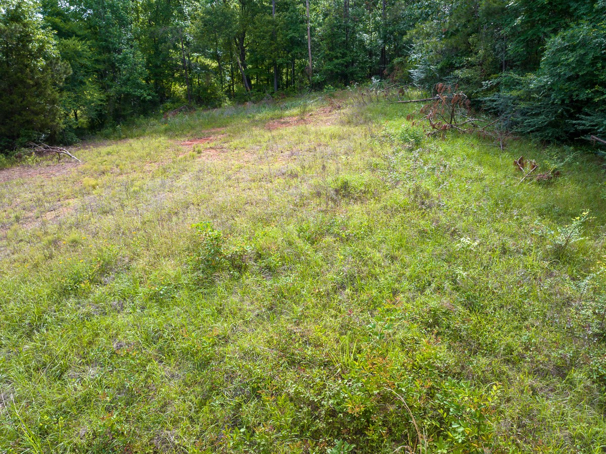 1 County Road 364 South Property Photo 3