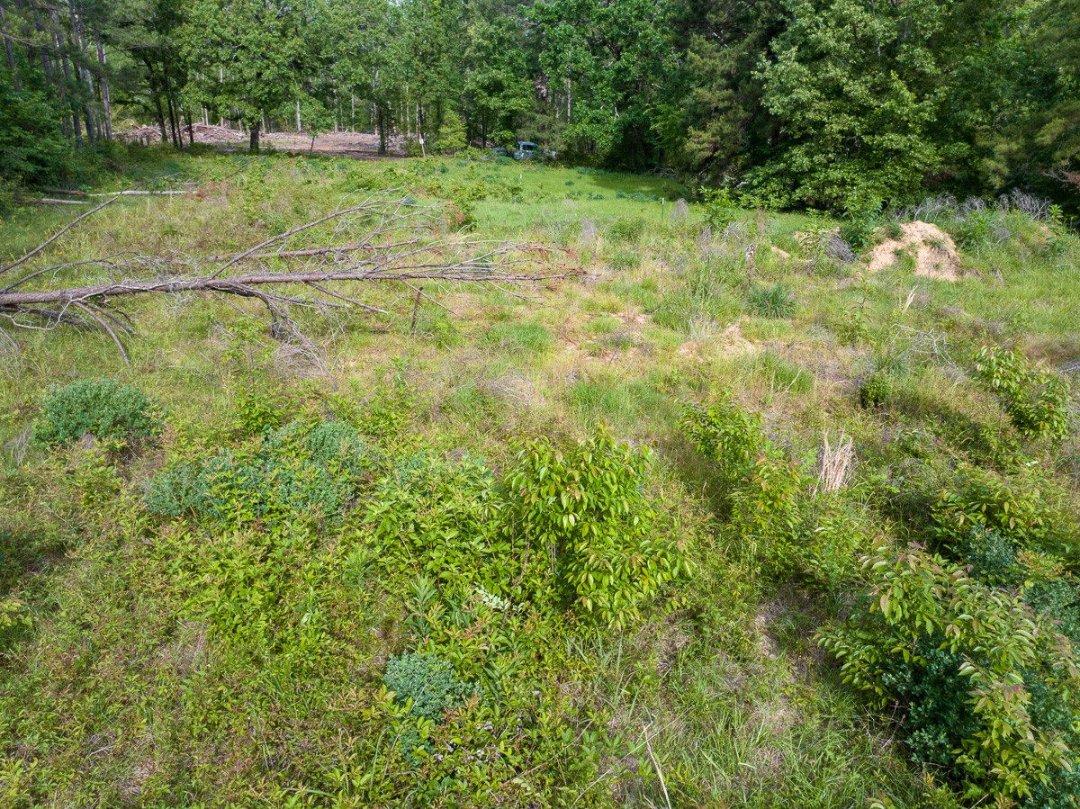 1 County Road 364 South Property Photo 12