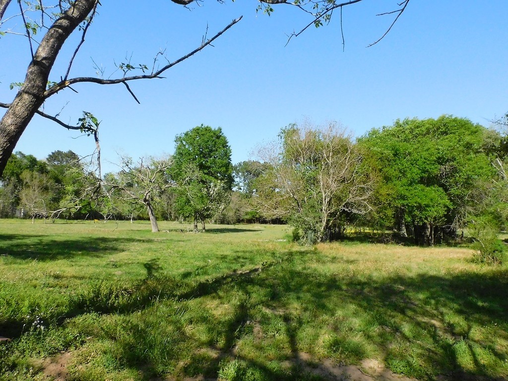 1215 N Meyer Street Property Photo 4