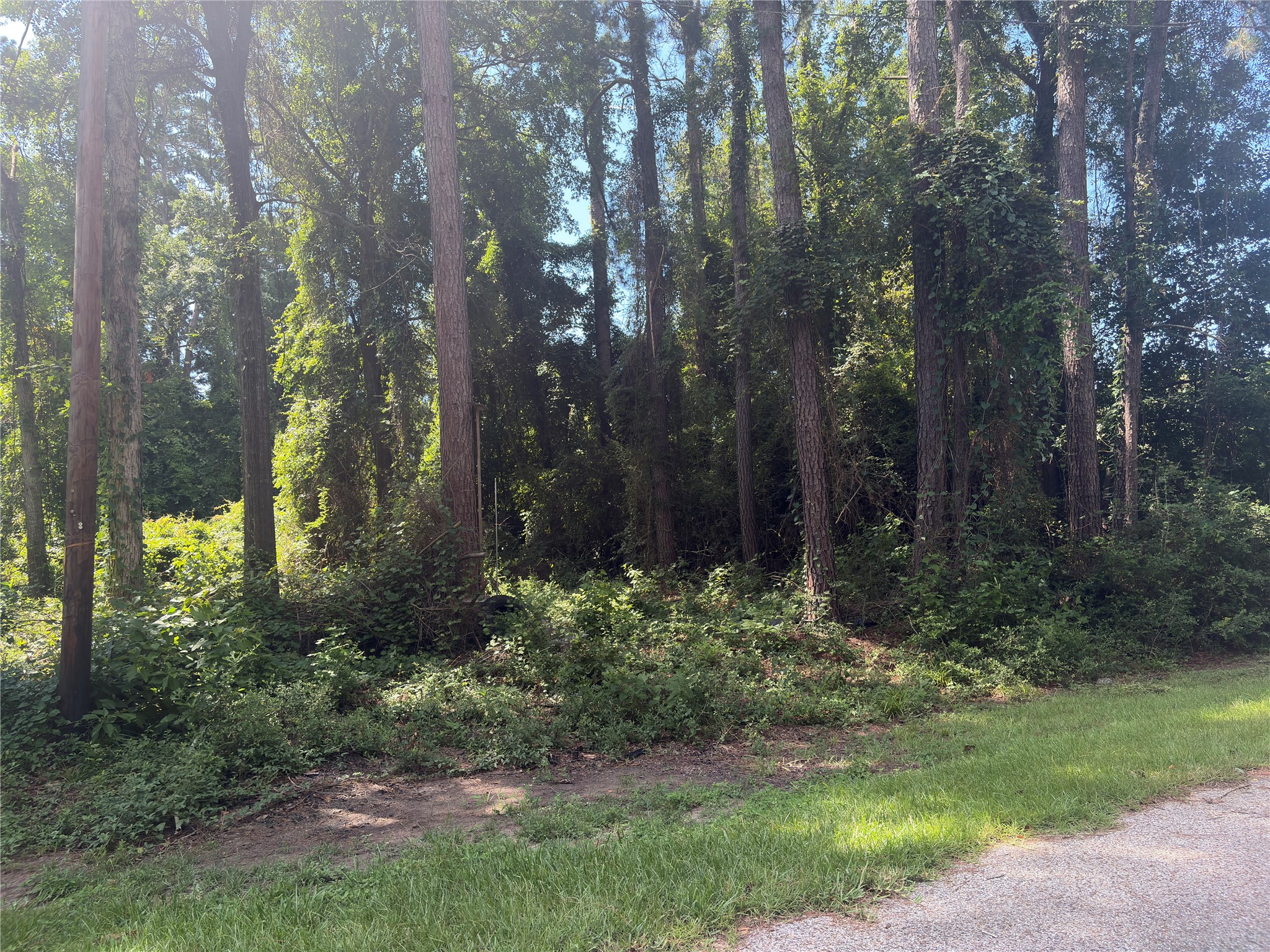 278 Holly Drive Property Photo 2