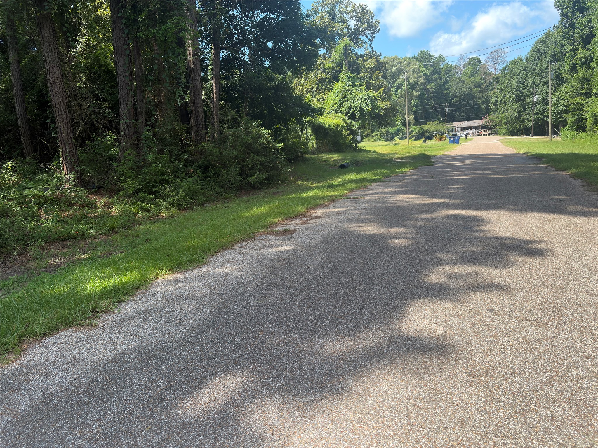278 Holly Drive Property Photo 4