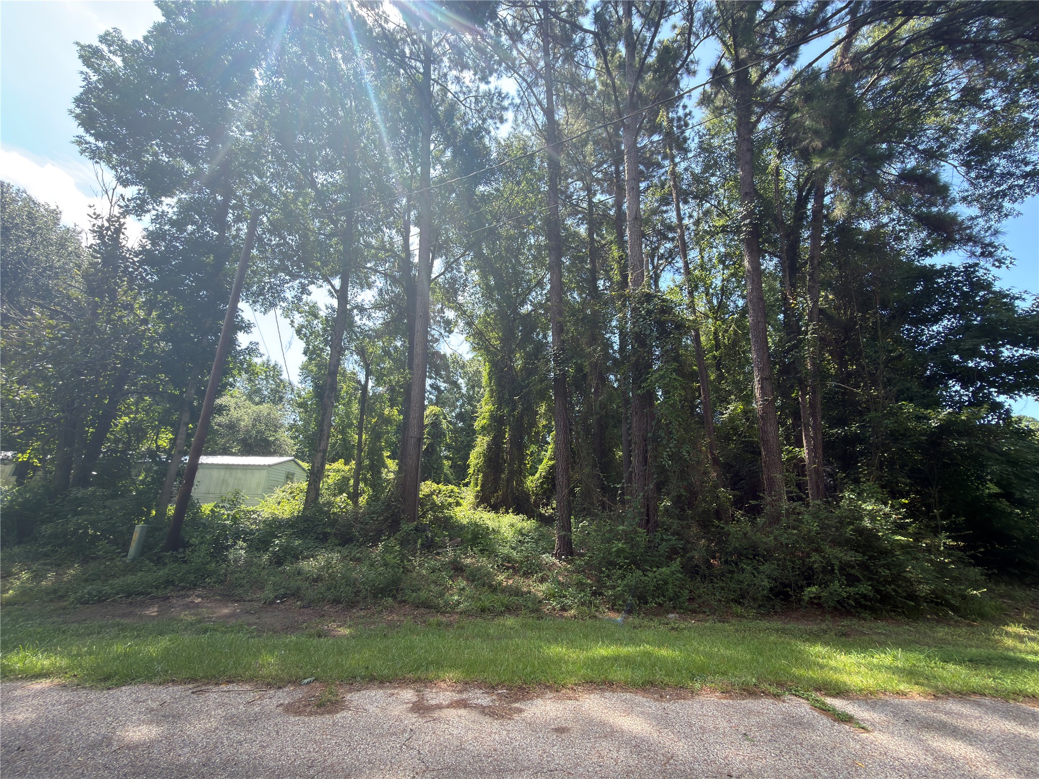 278 Holly Drive Property Photo 6