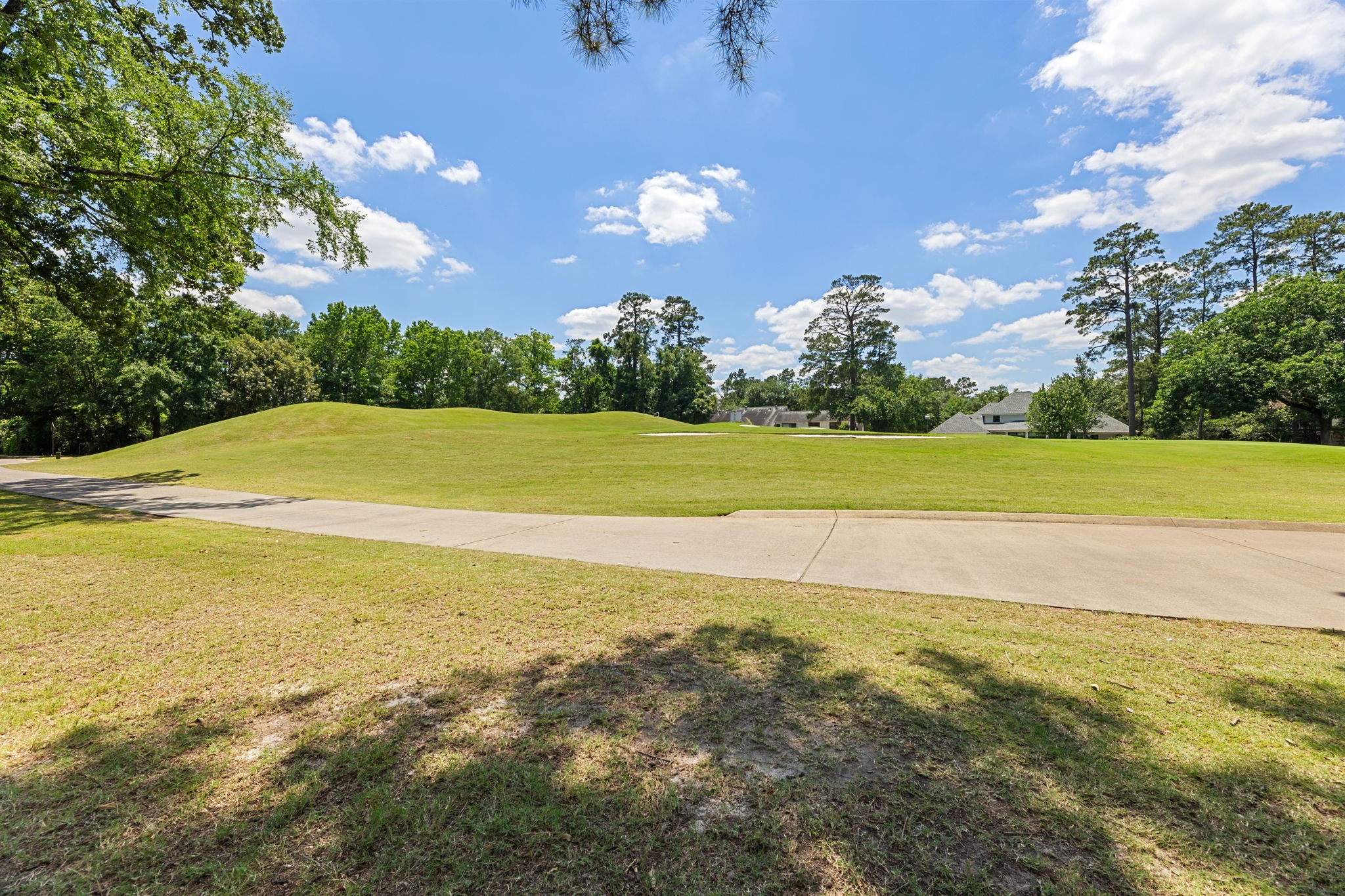 17 Buttonbush Court Property Photo 49