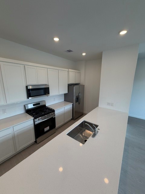 12618 Blue Catfish Lane Property Photo 6