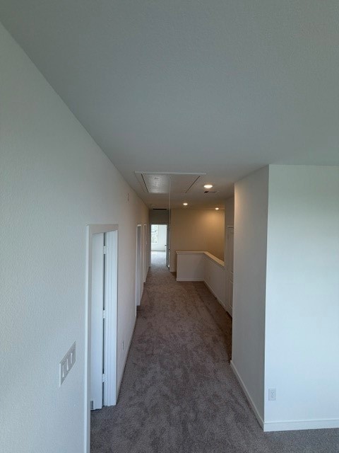12618 Blue Catfish Lane Property Photo 11