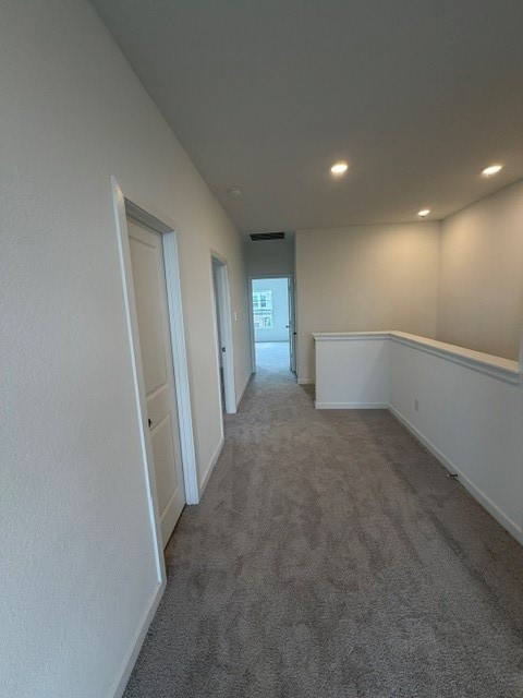 12618 Blue Catfish Lane Property Photo 12