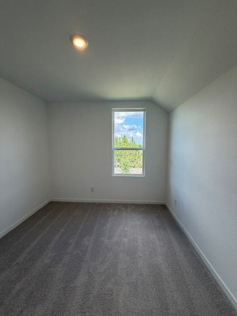 12618 Blue Catfish Lane Property Photo 14
