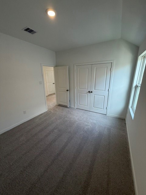 12618 Blue Catfish Lane Property Photo 17