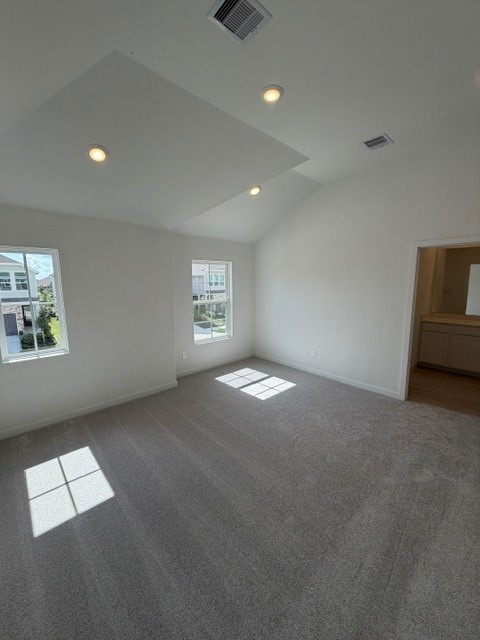 12618 Blue Catfish Lane Property Photo 19