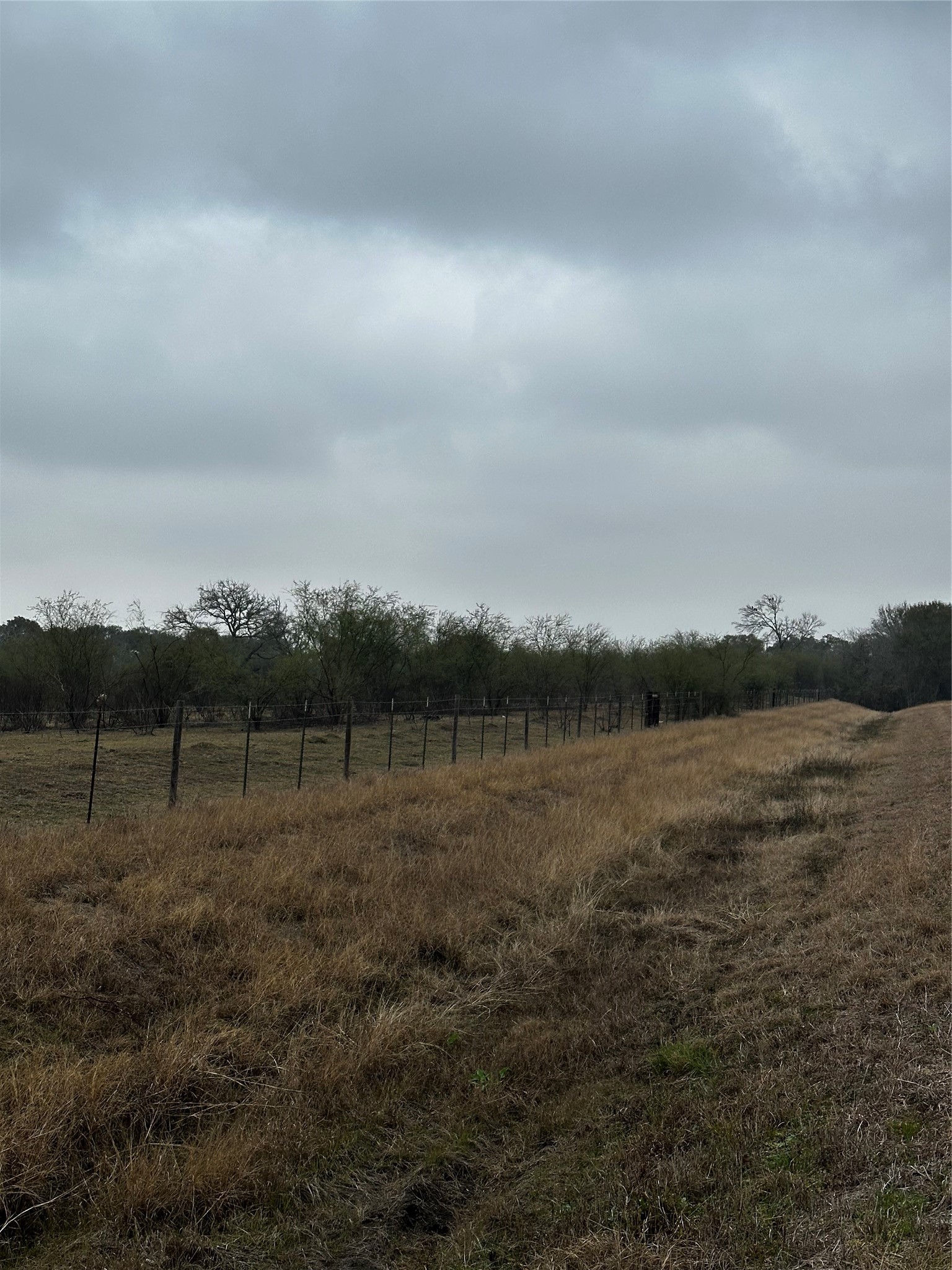 7413 Vojt Road Property Photo 3